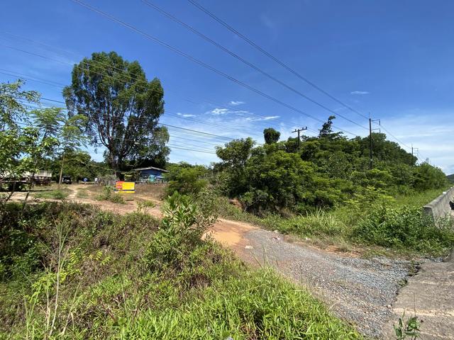 ใช่ 💟 ที่ดินเปล่า ตราด 💟 รูปที่ 2