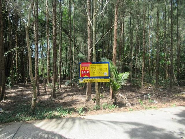 āđāļāđ ð āļāļĩāđāļāļīāļāđāļāļĨāđāļē āļŠāļļāļĢāļēāļĐāļāļĢāđāļāļēāļāļĩ ð āļĢāļđāļāļāļĩāđ 3