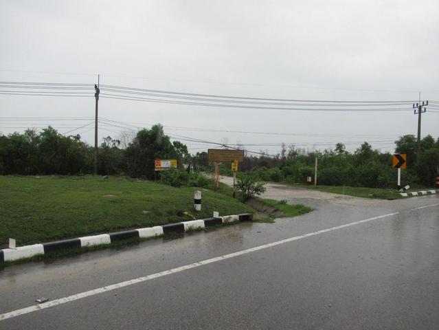 ใช่ 💟 ที่ดินเปล่า นราธิวาส 💟 รูปที่ 4