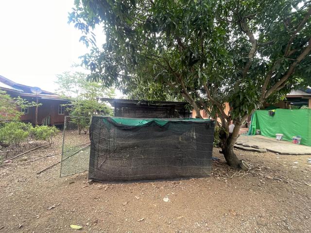 💟 บ้านเดี่ยวชั้นเดียว ชนแดน 💟 รูปที่ 4