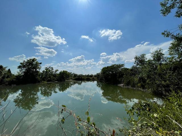 ใช่ 💟 ที่ดินเปล่า โครงการบ้านไร่ริมธาร ลำพูน 💟 รูปที่ 4