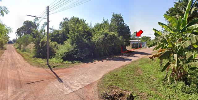 ใช่ 💟 ที่ดินเปล่า สกลนคร 💟 รูปที่ 3