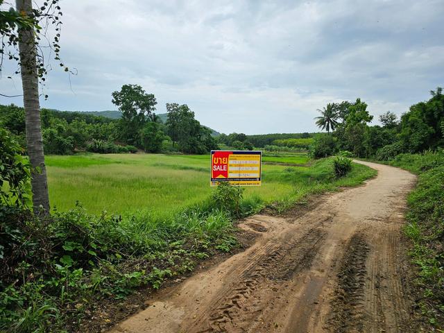 💟 ที่ดินเปล่า ชุมชนบ้านน้ำพร เลย 💟