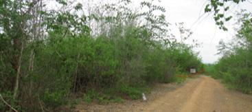 āđāļāđ ð āļāļĩāđāļāļīāļāđāļāļĨāđāļē āđāļāļĢāļāļāļēāļĢāļŠāļ§āļāđāļāļĐāļāļĢāļāļĢāļąāļāļĒāđāļŠāļąāļāļāļāļ āļĨāļģāļāļđāļ ð āļĢāļđāļāļāļĩāđ 1