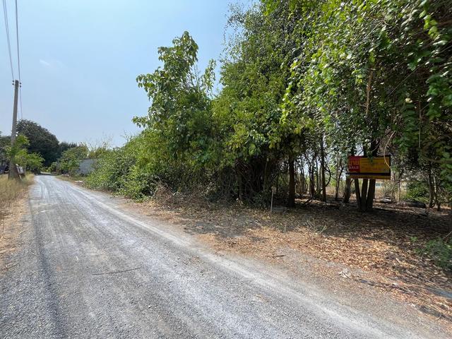 ใช่ 💟 ที่ดินเปล่า สองพี่น้อง สุพรรณบุรี 💟 รูปที่ 2