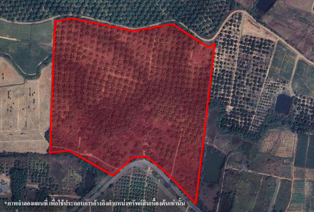 💟 ที่ดินเกษตรกรรม สามร้อยยอด ประจวบคีรีขันธ์ 💟 รูปที่ 3