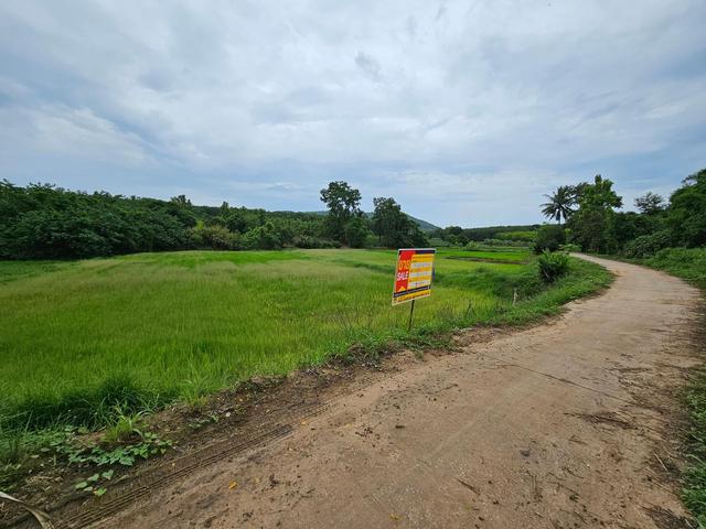 ใช่ 💟 ที่ดินเปล่า ชุมชนบ้านน้ำพร เลย 💟 รูปที่ 3