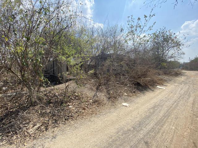 ใช่ 💟 ที่ดินเปล่า หน้าพระลาน สระบุรี 💟 รูปที่ 4