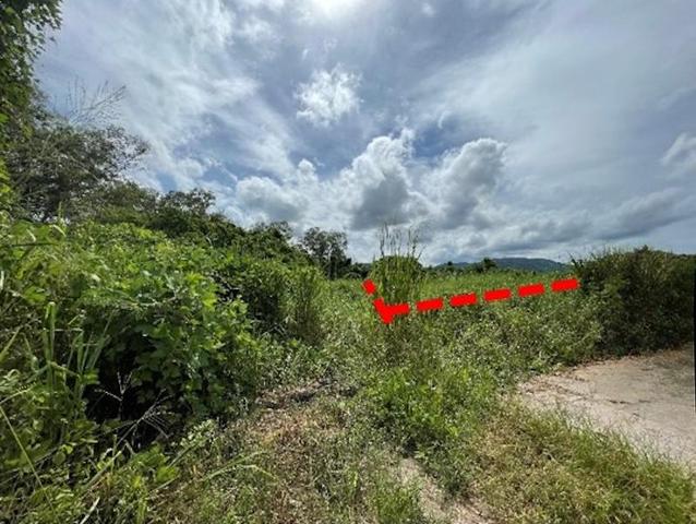 āđāļāđ ð āļāļĩāđāļāļīāļāđāļāļĨāđāļē āđāļāļĢāļāļāļēāļĢāļāļ āļīāļāļēāļāļīāđāļĨāļāļāđ āļāļĨāļāļļāļĢāļĩ ð āļĢāļđāļāļāļĩāđ 3