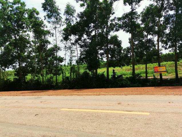 💟 ที่ดินเปล่า นาดี ปราจีนบุรี 💟