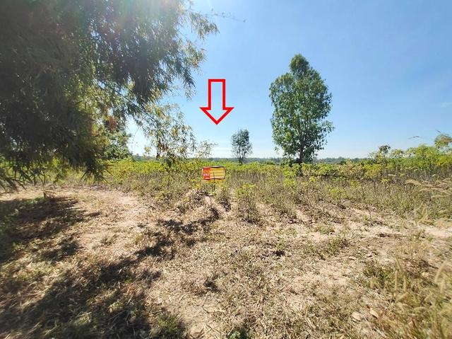 💟 ที่ดินเปล่า อุบลราชธานี 💟