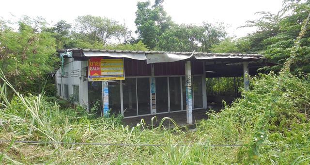 💟 บ้านเดี่ยว หนองบัวแดง ชัยภูมิ 💟