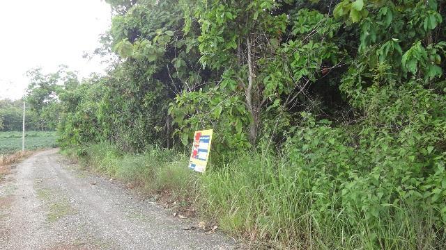 ใช่ 💟 ที่ดินเปล่า โครงการลำปางสักทอง 💟