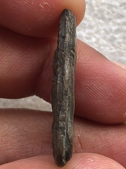 เหรียญไม่ทราบที่  รูปที่ 5