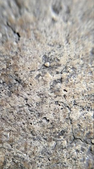 พระสมเด็จวัดระฆัง บางขุนพรหม เกศไชโย หลวงปู่ภู หลวงปู่นาค รูปที่ 12