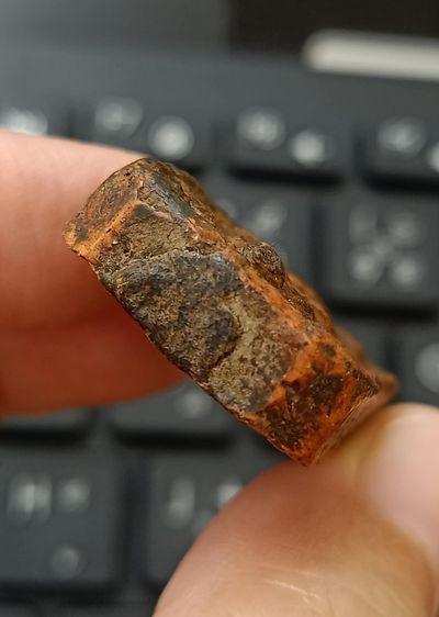 หลวงพ่อปานทรงครุฑ รูปที่ 9