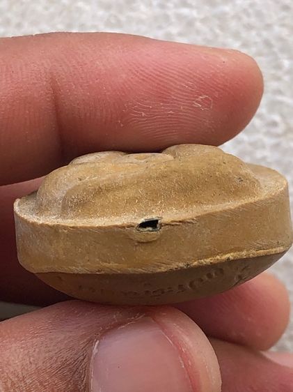 พระปิดตาจัมโบ้๑ หลวงปู่โต๊ะ เนื้อเกสร  รูปที่ 6