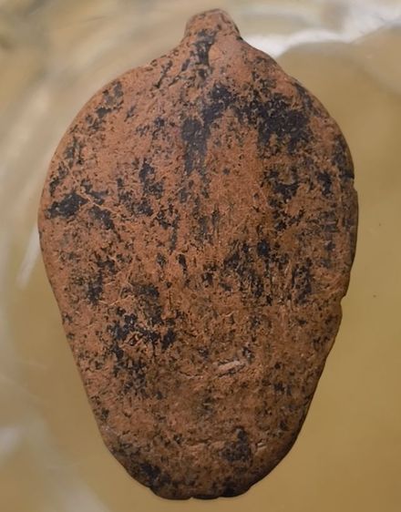 พระเนื้อดินหลวงพ่อลี วัดอโศการามค่ะ รูปที่ 14