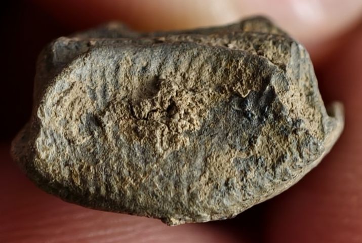 พระรอด รูปที่ 4