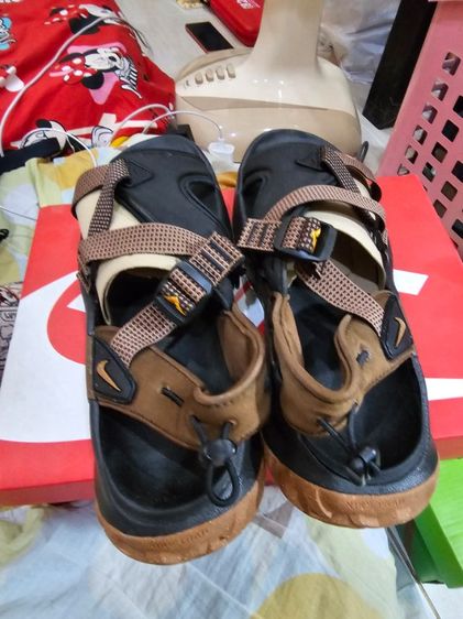 Nike ACG Air Deschutz