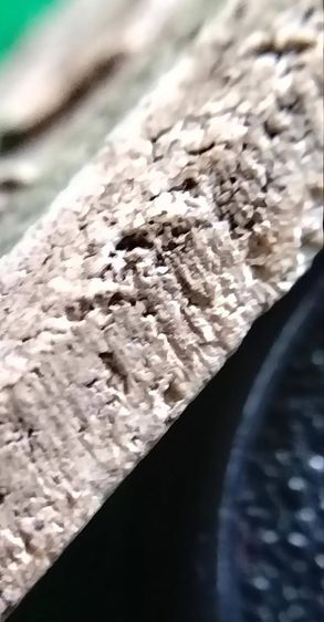 พระสมเด็จวัดระฆัง บางขุนพรหม เกศไชโย หลวงปู่ภู หลวงปู่นาค รูปที่ 3