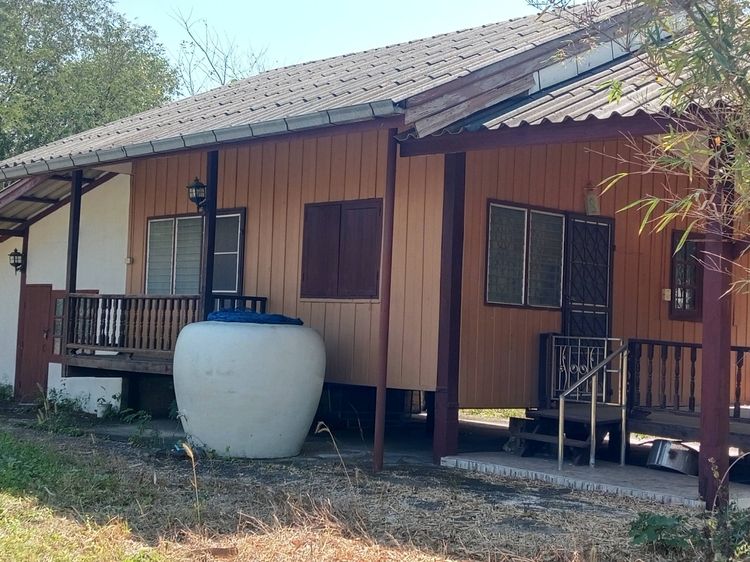 ขายที่ดินติดถนน ภูกระดึง รูปที่ 2