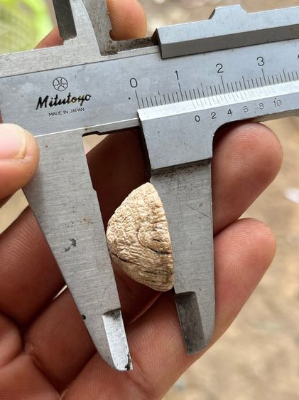 หัวแหวนเก่า รูปที่ 5