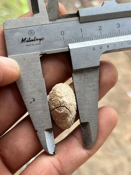 หัวแหวนเก่า รูปที่ 4