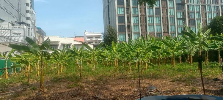 ขายที่ดิน371ตารางวาซอยลาดพร้าว23ใกล้รถไฟใต้ดิน