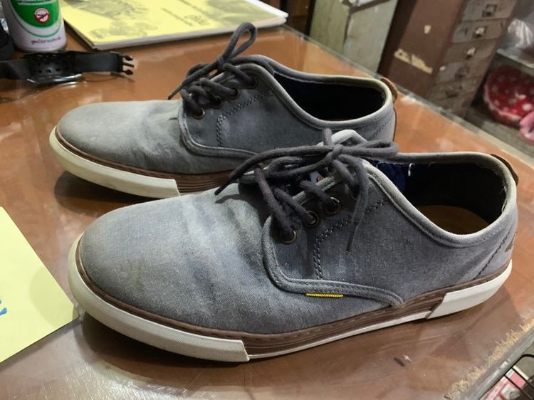 camel รูปที่ 2