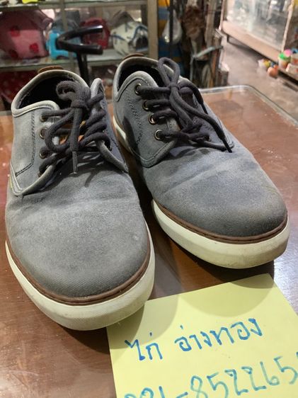 camel รูปที่ 3