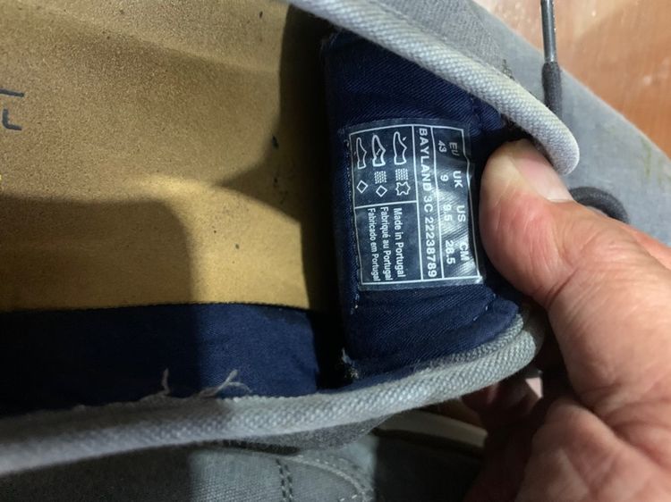 camel รูปที่ 5