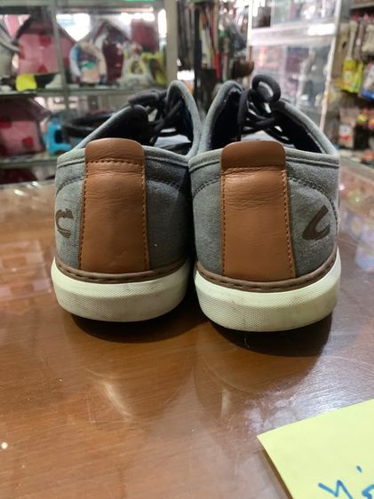 camel รูปที่ 7