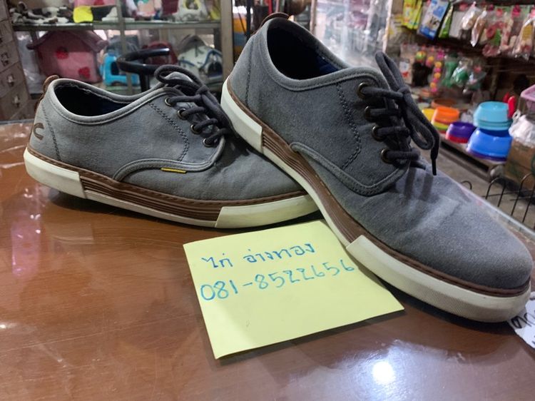 camel รูปที่ 8