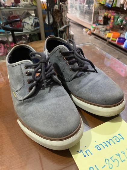 camel รูปที่ 4