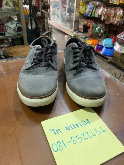 camel รูปที่ 10