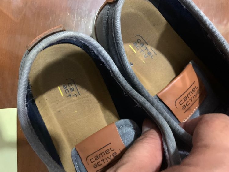 camel รูปที่ 9