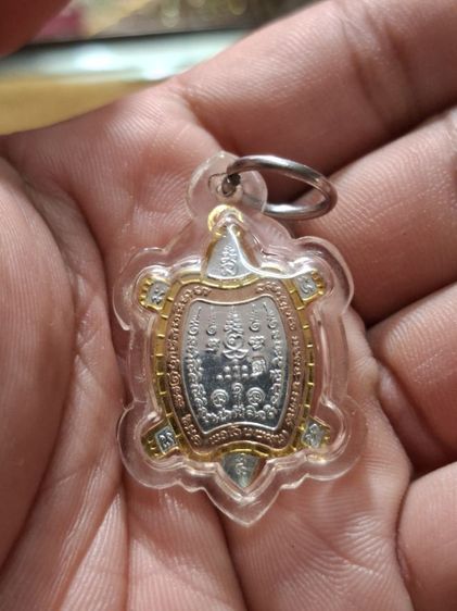 เต่า หลวงปู่หลิว รูปที่ 9