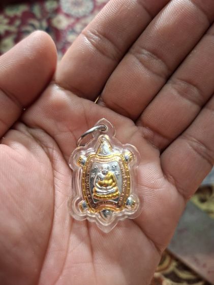 เต่า หลวงปู่หลิว รูปที่ 4