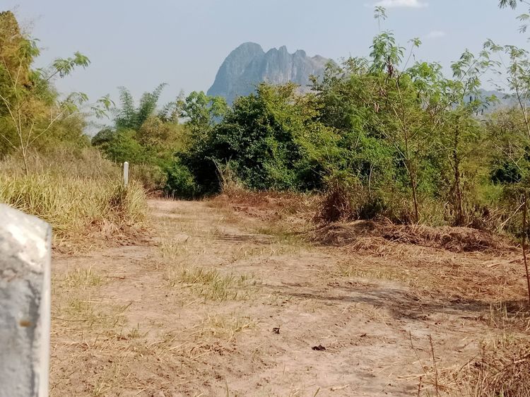 ขายที่โฉนด 9 ไร่0งาน52. วิวผานกเค้า  รูปที่ 4