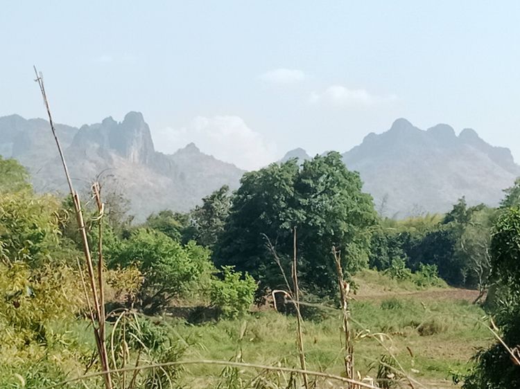 ขายที่โฉนด 9 ไร่0งาน52. วิวผานกเค้า 