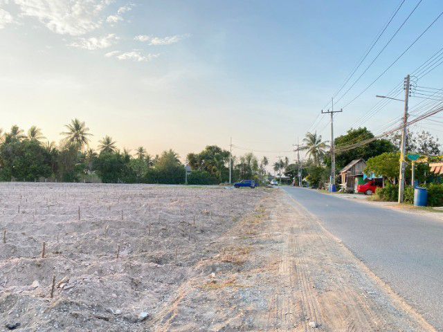 ใช่ ขายที่ดิน30ไร่ใกล้เจาชีจรรย์ รูปที่ 2