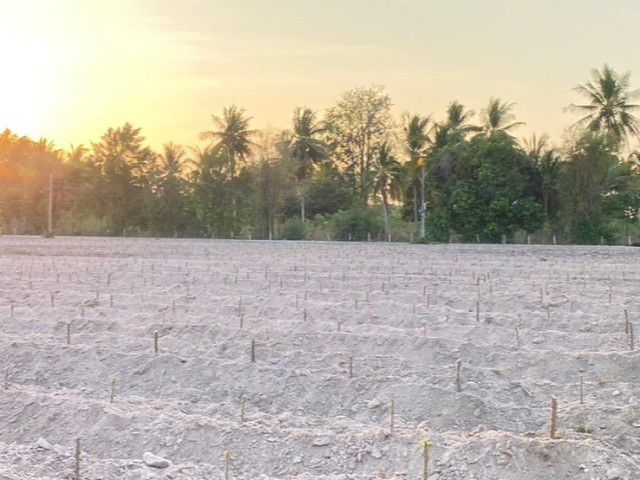 ขายที่ดิน30ไร่ใกล้เจาชีจรรย์