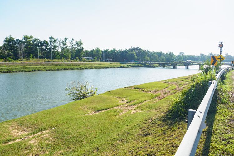 ขายที่ดินทำเลสวย เมืองชุมพร (นาชะอัง) 4 ไร่เศษ ติดถนนเลียบคลองชลประทาน เหมาะสำหรับสร้างบ้านพักตากอากาศ ทำจัดสรรขนาดเล็ก หรือซื้อเก็บเก็งกำไร รูปที่ 4