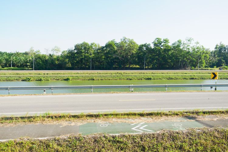 ขายที่ดินทำเลสวย เมืองชุมพร (นาชะอัง) 4 ไร่เศษ ติดถนนเลียบคลองชลประทาน เหมาะสำหรับสร้างบ้านพักตากอากาศ ทำจัดสรรขนาดเล็ก หรือซื้อเก็บเก็งกำไร รูปที่ 2