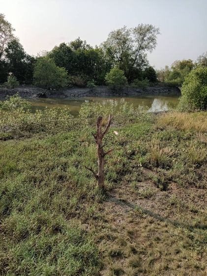 บ้านติดทะเลใกล้นิคมห่างสุขุมวิท300ม. รูปที่ 4