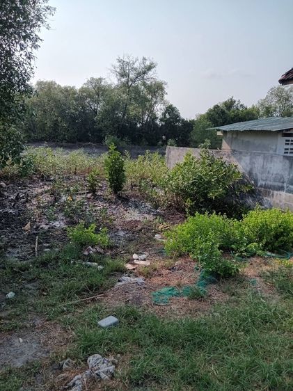 บ้านติดทะเลใกล้นิคมห่างสุขุมวิท300ม. รูปที่ 3