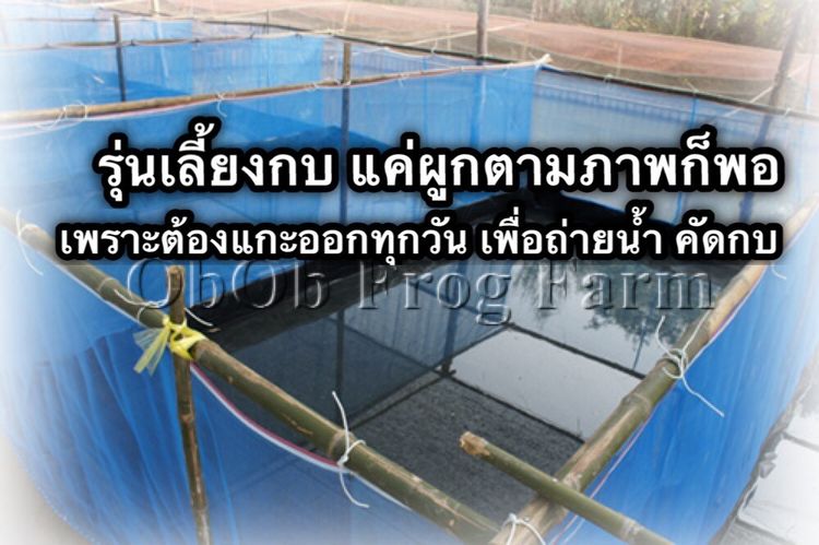 บ่อผ้ายางพับขึ้นรูปตอกตาไก่ กระชังบก กระชังน้ำ เทปซ่อม PE รูปที่ 8