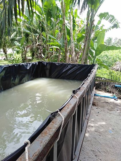 บ่อผ้ายางพับขึ้นรูปตอกตาไก่ กระชังบก กระชังน้ำ เทปซ่อม PE รูปที่ 3