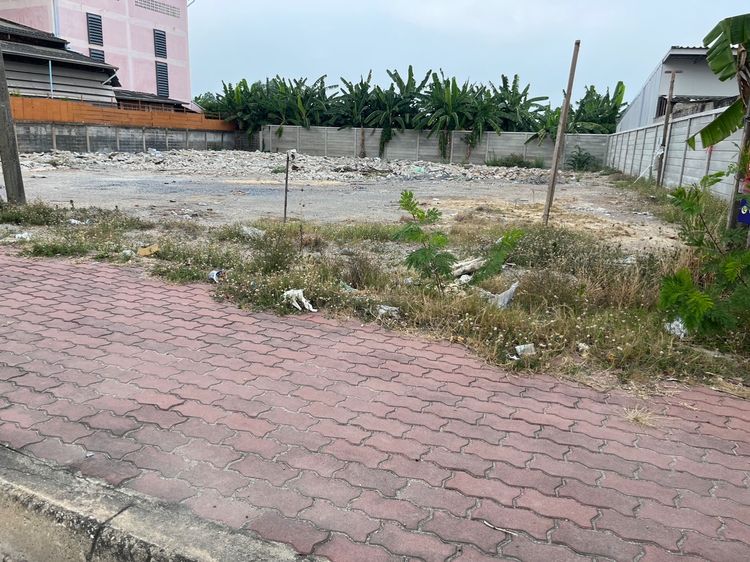 ให้เช่าที่ดิน 289 ตารางวา  ติดถนนเพชรเกษม ตรงข้าม โลตัสสามพราน